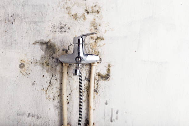 Best Mold Testing and Inspection Services in Ganado, TX